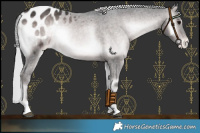 Horse Color:Platinum Silver Brown Onyx Appaloosa