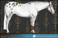 Horse Color:Platinum Silver Brown Onyx Blanket