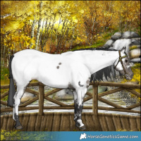 Horse Color:White Spotted Grullo Near Fewspot Brindle 