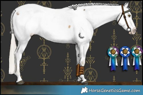 Horse Color:White Spotted Chocolate Palomino Dun Mushroom Appaloosa Brindle 