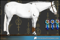 Horse Color:White Spotted Chocolate Palomino Dun Mushroom Near Fewspot Brindle 