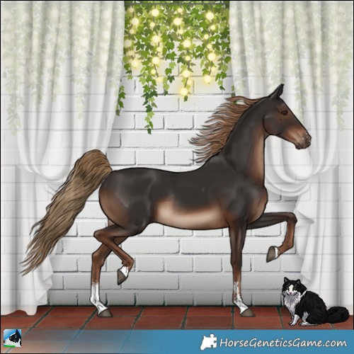 Horse Color:Liver Chestnut Sabino Rabicano 