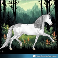 Horse Color:Silver Bay Chinchilla Dun Splash