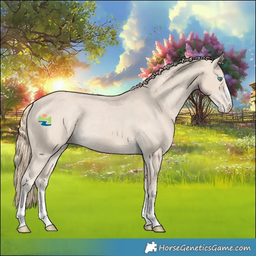 Horse Color:Smoky Creme Appaloosa Rabicano 
