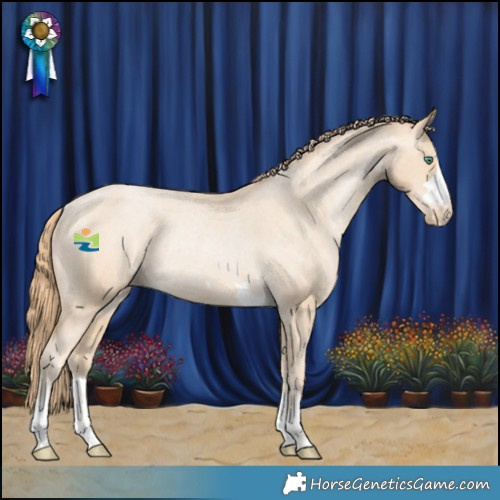 Horse Color:Smoky Black Pearl Varnish Rabicano 