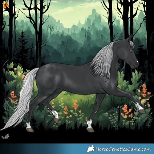 Horse Color:Silver Black Chinchilla 