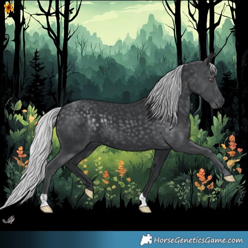 Horse Color:Silver Black Chinchilla 