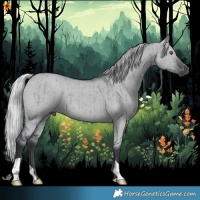 Horse Color:Silver Grullo Chinchilla Brindle 