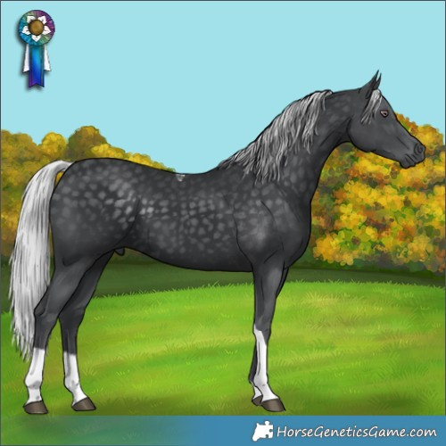 Horse Color:Silver Black Chinchilla Tobiano 