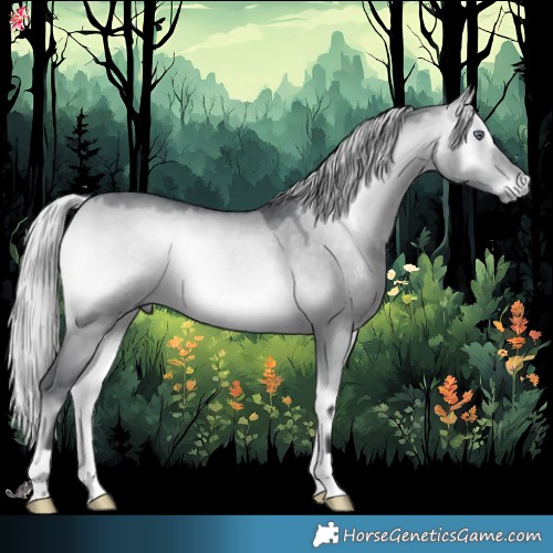 Horse Color:Silver Bay Chinchilla Onyx 
