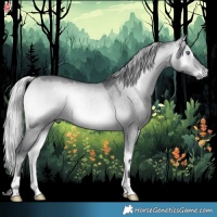 Horse Color:Silver Bay Chinchilla Onyx 