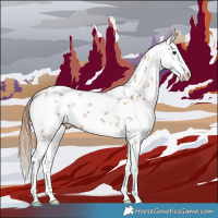 Horse Color:White Spotted Chestnut Sabino