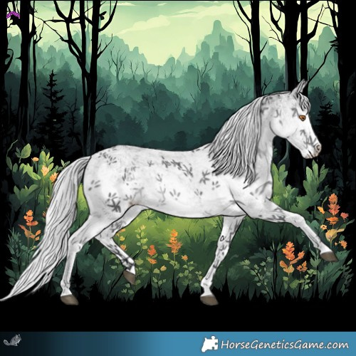 Horse Color:White Spotted Silver Black Chinchilla Splash 