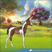 Horse Color:Bay Tobiano Rabicano 
