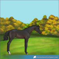 Horse Color:Brown 