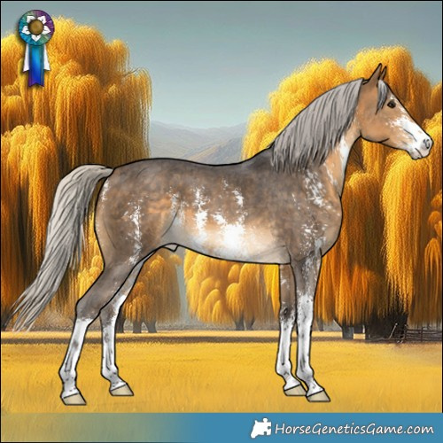 Horse Color:Silver Buckskin Sabino 