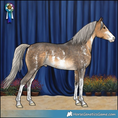 Horse Color:Silver Buckskin Sabino 
