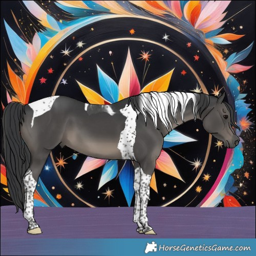Horse Color:Black Tobiano 
