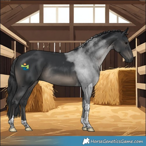 Horse Color:Black Tobiano Rabicano 