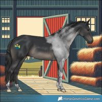Horse Color:Black Tobiano Rabicano 
