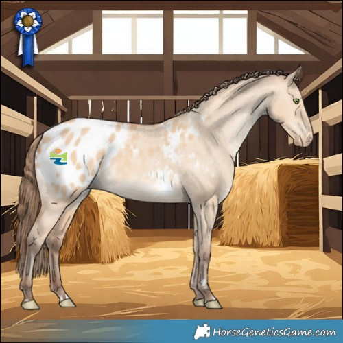 Horse Color:Amber Champagne Dun Blanket Rabicano 