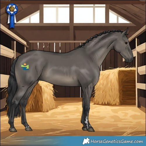 Horse Color:Grullo Rabicano 