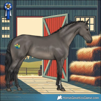 Horse Color:Grullo Rabicano 