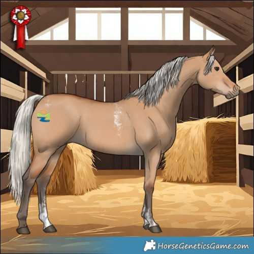 Horse Color:Powder White Silver Bay Dun 