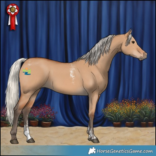 Horse Color:Powder White Silver Bay Dun 