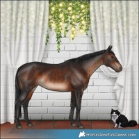 Horse Color:Brown Rabicano 