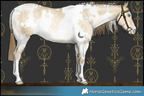 Horse Color:White Spotted Buckskin Pearl Dun Brindle 
