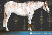 Horse Color:Red Dun Sabino Varnish Brindle 