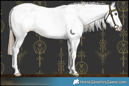 Horse Color:Liver Red Dun Sabino Varnish Brindle 