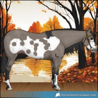 Horse Color:Grullo Frame 
