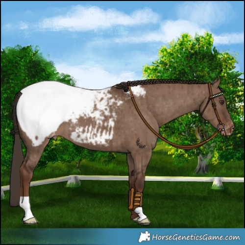 Horse Color:Liver Red Dun Snowcap Brindle 