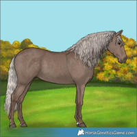 Horse Color:Silver Black