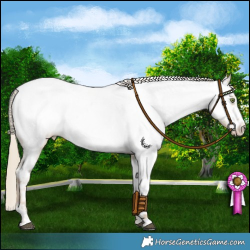 Horse Color:Chocolate Palomino Dun Mushroom Sabino Near Fewspot 