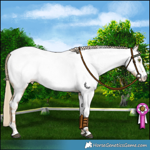 Horse Color:Chocolate Palomino Dun Mushroom Sabino Appaloosa 