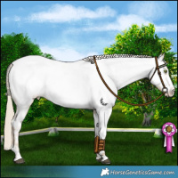 Horse Color:Chocolate Palomino Dun Mushroom Sabino Near Fewspot 