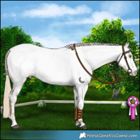 Horse Color:Chocolate Palomino Dun Mushroom Sabino Appaloosa