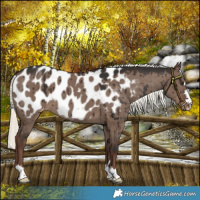 Horse Color:Liver Red Dun Mushroom Blanket Brindle