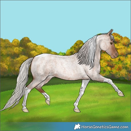 Horse Color:Silver Brown Roan Pearl Tobiano 