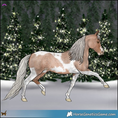 Horse Color:Silver Brown Roan Pearl Tobiano Frame