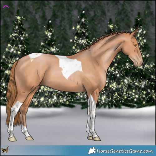 Horse Color:Bay Pearl Tobiano