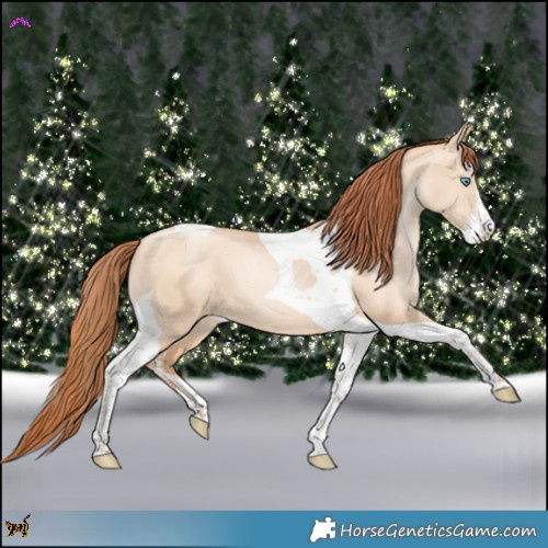 Horse Color:Sable Champagne Pearl Dun Sabino Tobiano