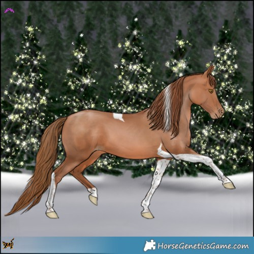 Horse Color:Brown Pearl Tobiano 