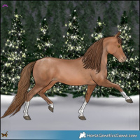 Horse Color:Brown Pearl Tobiano