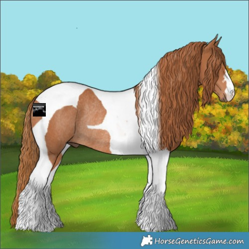 Horse Color:Chestnut Tobiano Rabicano 
