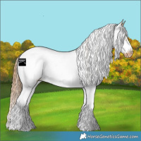 Horse Color:White Spotted Red Dun Frame Blanket