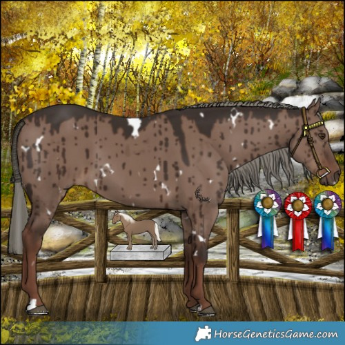 Horse Color:White Spotted Liver Red Dun Mushroom Brindle 